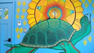 Lune Centre green turtle