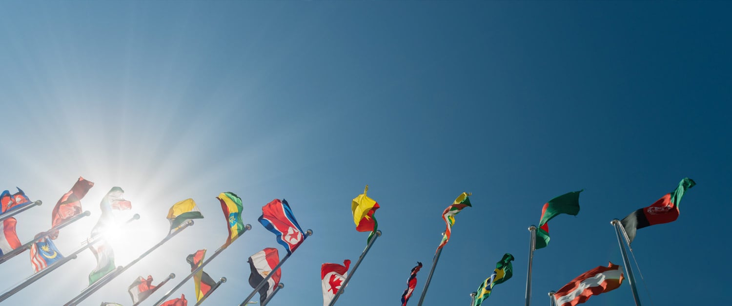 a group of people flying kites in the sky