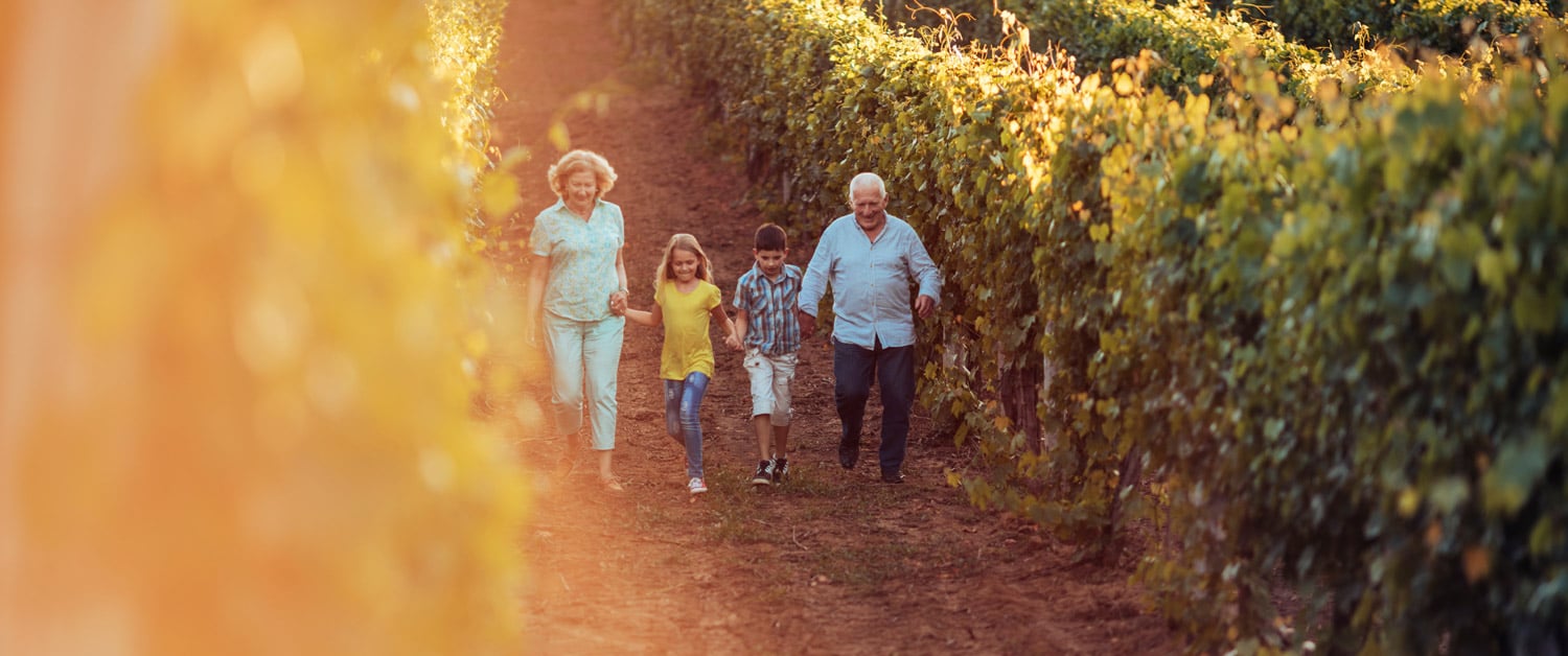 a group of people walking down a dirt road