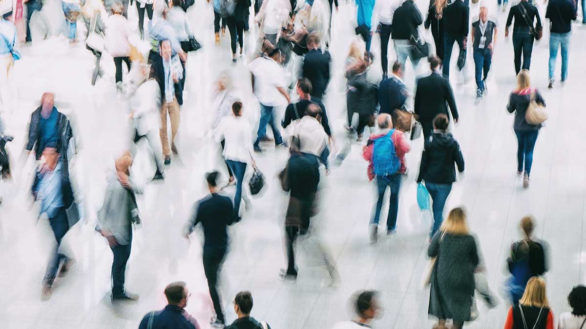 Employment law in Canada