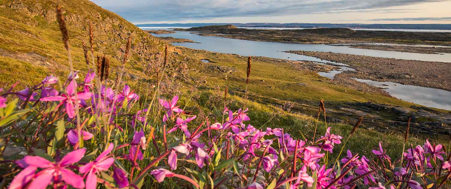 Recent developments in Aboriginal Title litigation