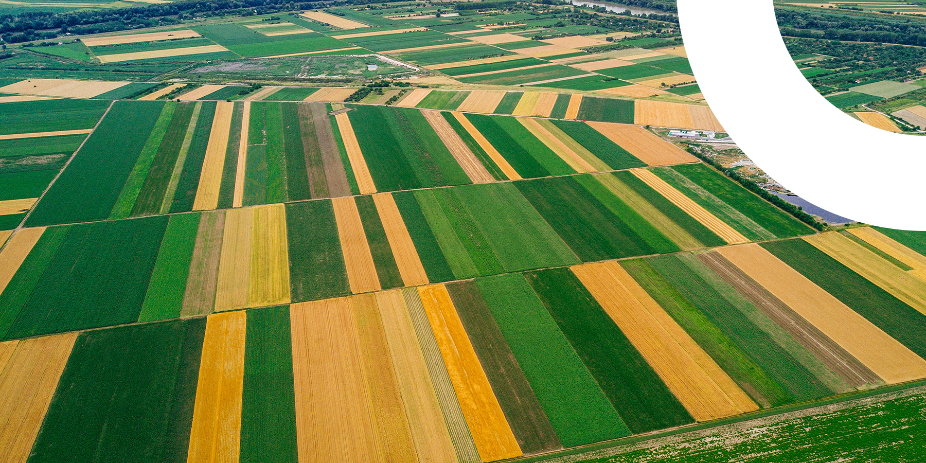 AgTech meets energy: Considerations for agtech startups