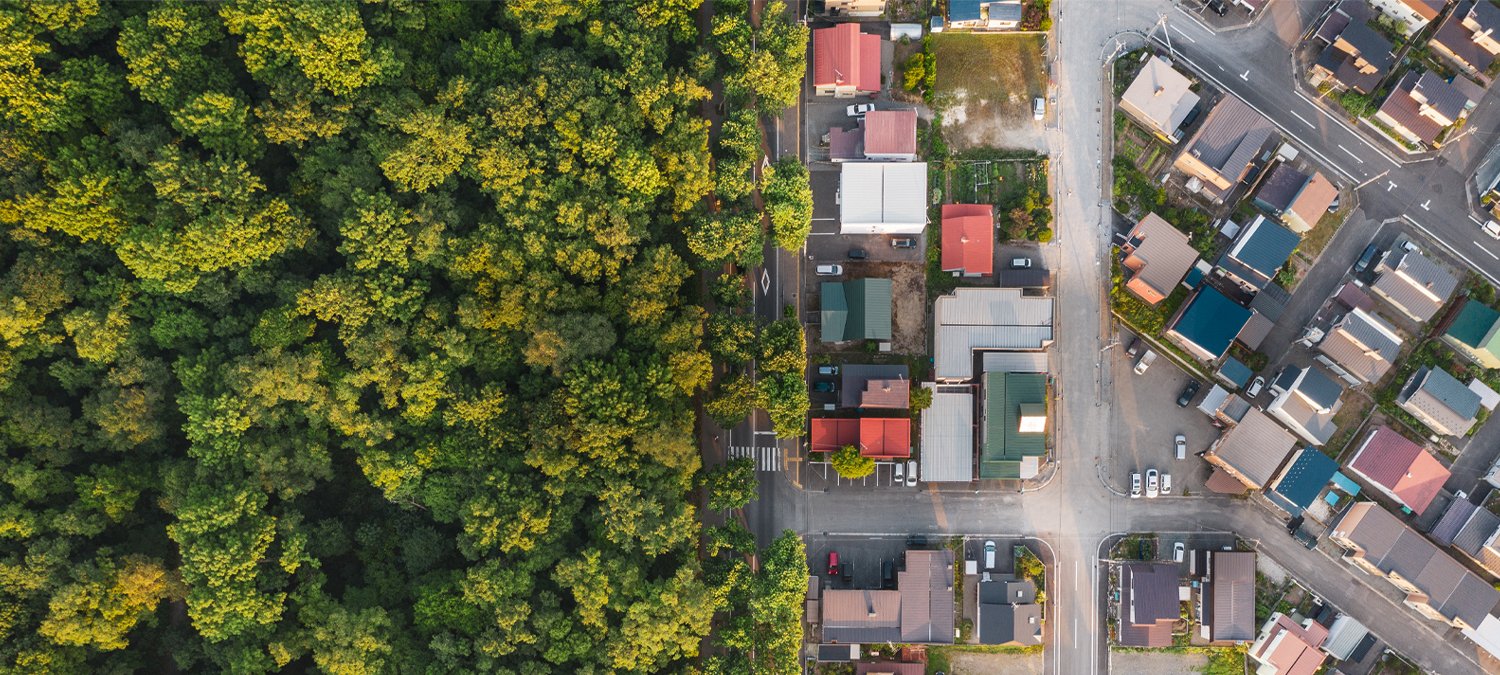 Overview of a forest and city  