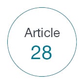 Article 28