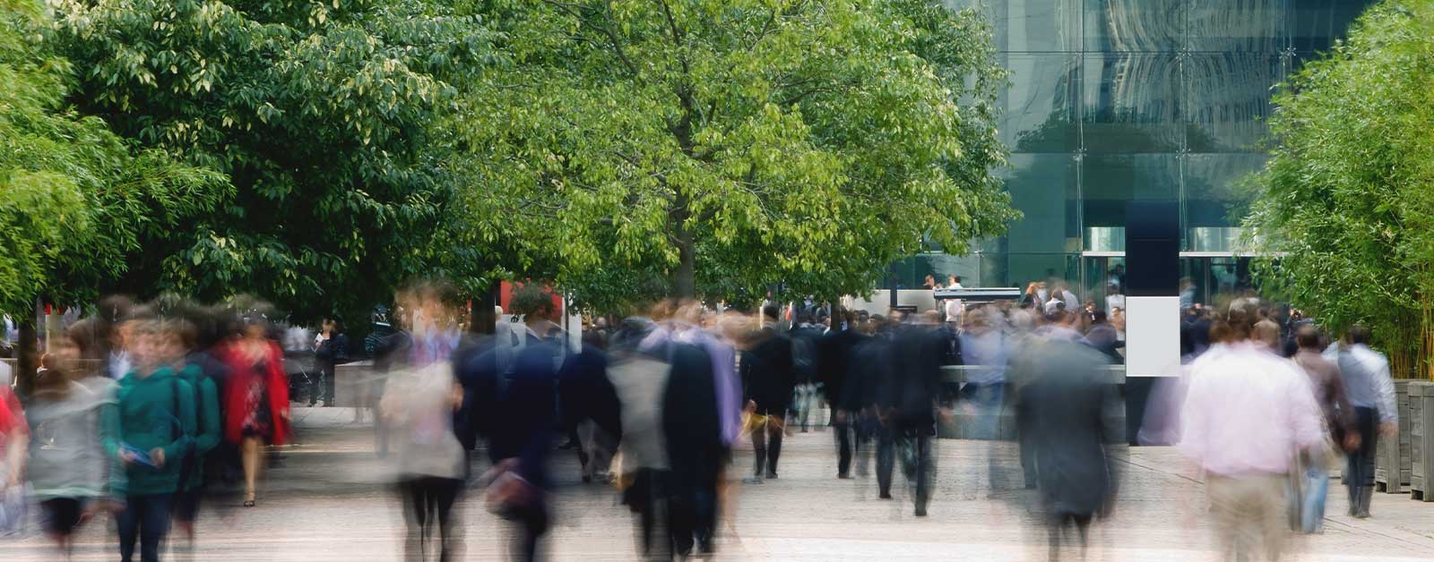 People walking with trees and office building
