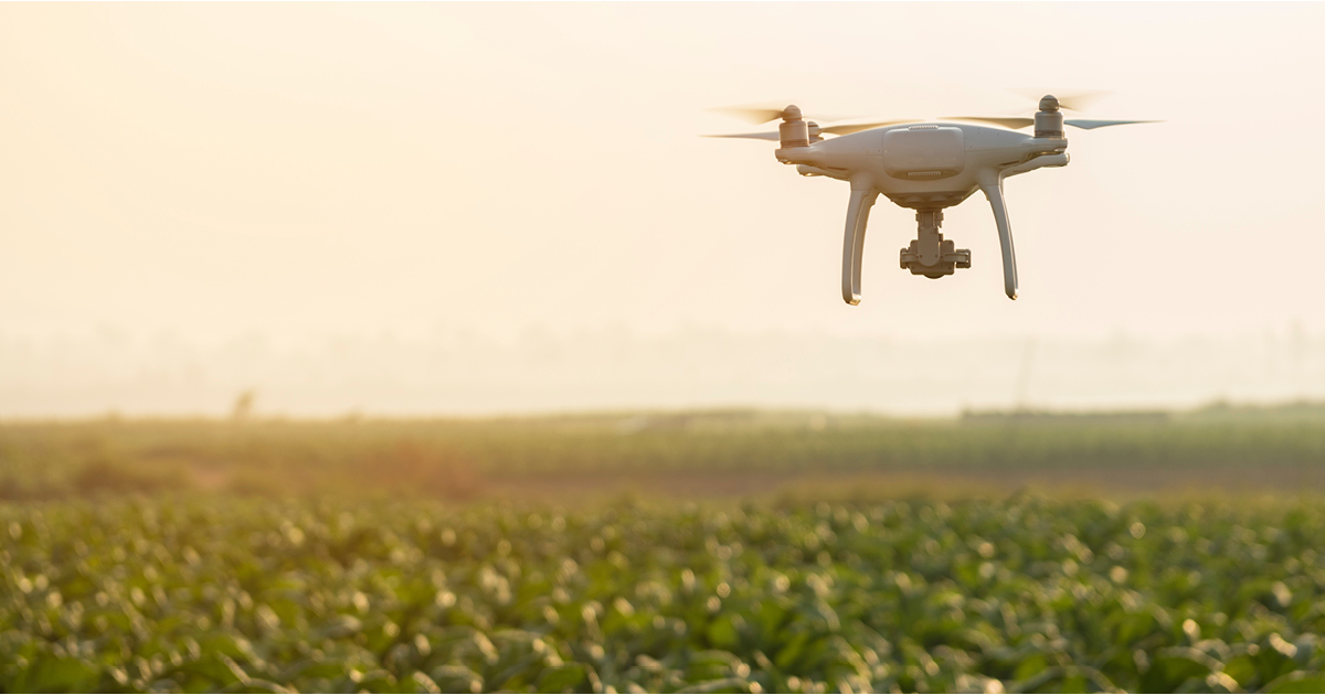 Trends to watch in 2021 – Agribusiness: technology and disruption