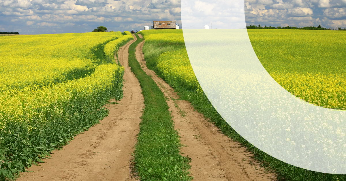 The Sensor: The state of autonomous vehicles in Saskatchewan