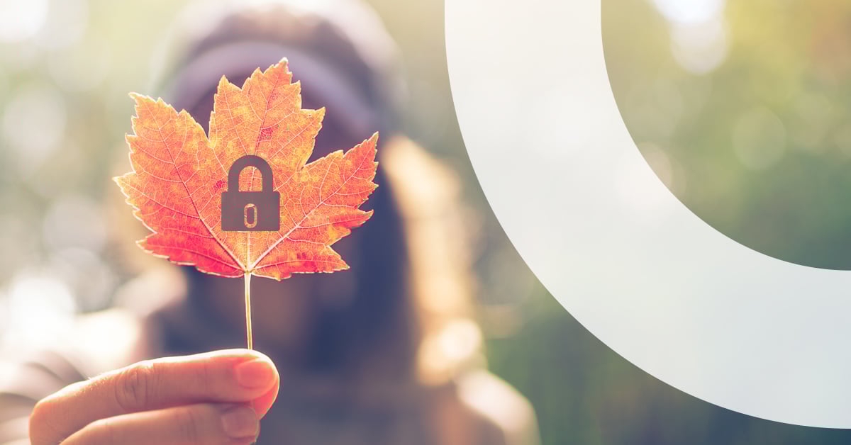 Privacy Laws North of the Border:  A Primer