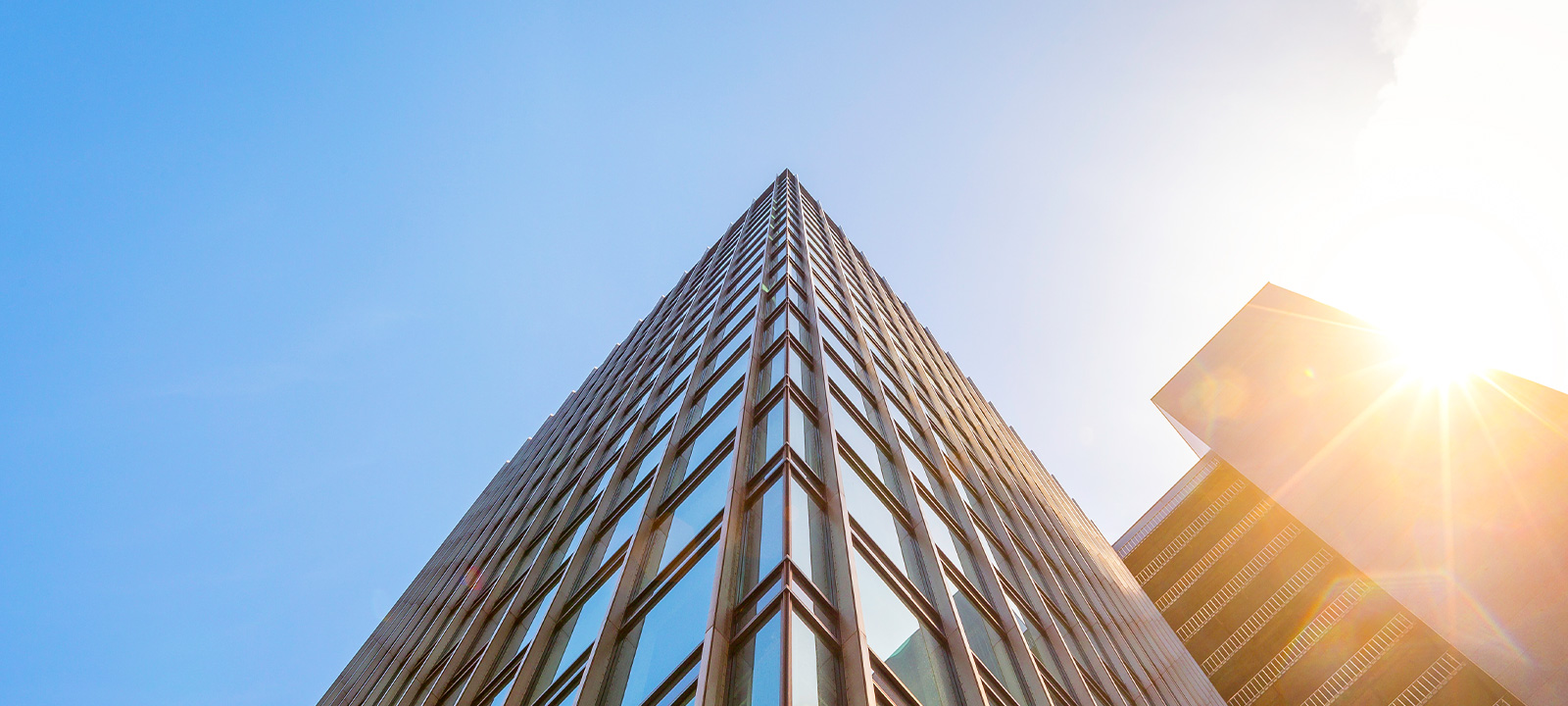 Comment se préparer à un changement de locataire commercial : guide du locateur