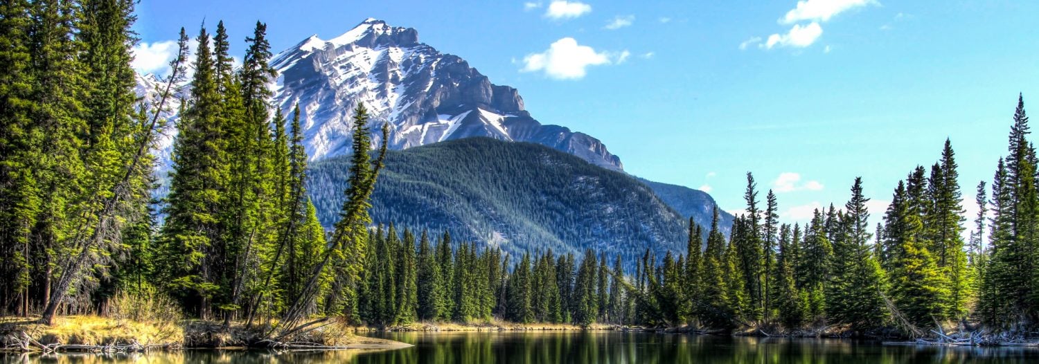 Key developments in British Columbia and federal environmental law