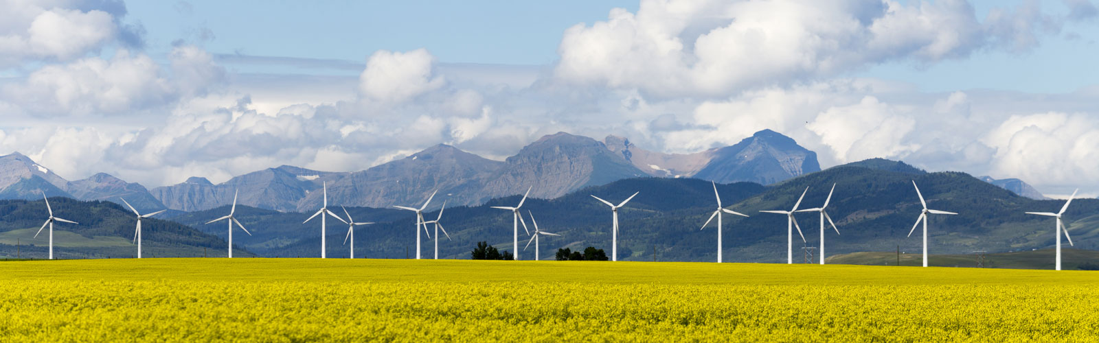 Windmills with mountain backdrop - BLG Alberta Power Market