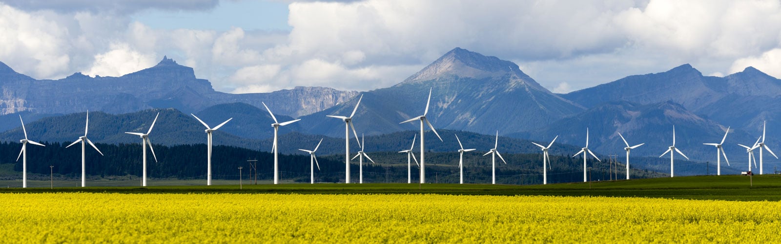 Renewable VPPAs and ESG: What you need to know before you buy
