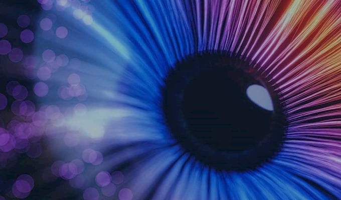 12 principes stratégiques en gestion des risques liés au respect de la vie privée, à la cybersécurité et à l’IA